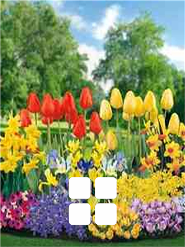 All flower bulbs