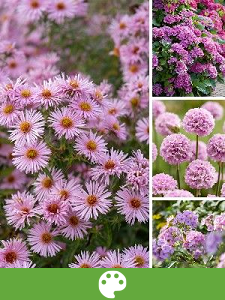 Garden plants by colour