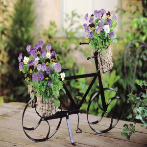 Viola cornuta SP x 3 + 1 Bicycle