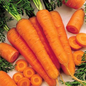 Carrot Amsterdam seed bag