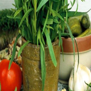 Tarragon seed bag Picture
