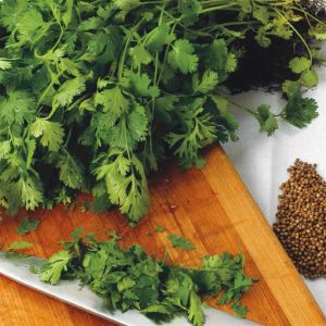 Coriander seed bag