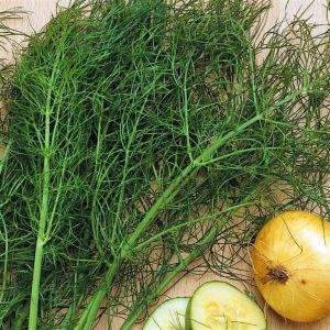 Fennel seed bag Picture