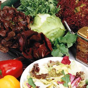 Lettuce French Mixed seed bag