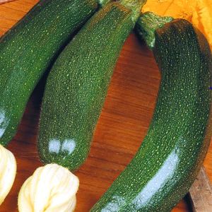 Courgette Diamond seed bag