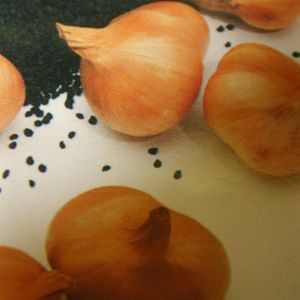 Shallot Seed 1 gr