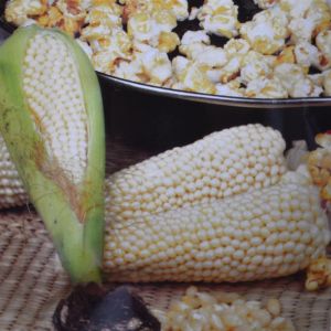 Popcorn Plomik seed bag