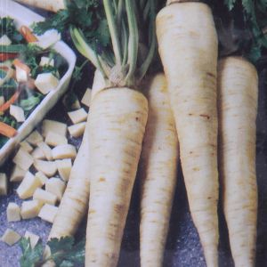 Parsley turnip -rooted seed bag
