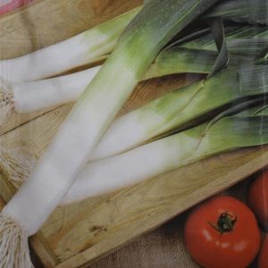 Leek Hiverbleu seed bag