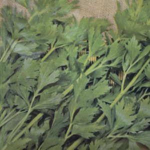 Celery Plain seed bag