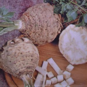 Celeriac Dolvi seed bag
