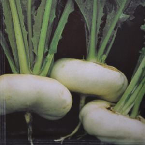 Garden Turnip Early Flat White seed bag