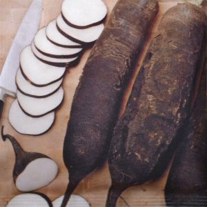 Winter Radish Black long seed bag