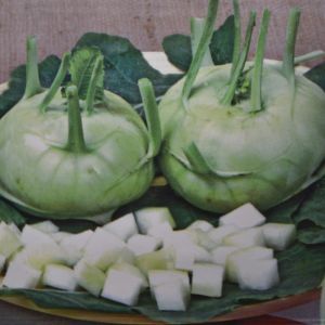 Kohlrabi Lanro seed bag