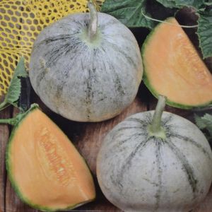 Melon Cantaloup Charentais Seed bag