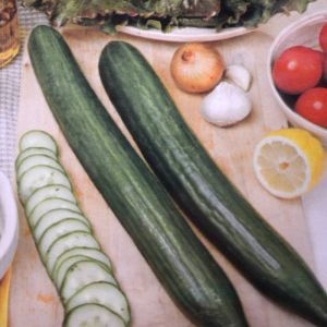 Greenhouse Cucumber Confida F1 seed bag