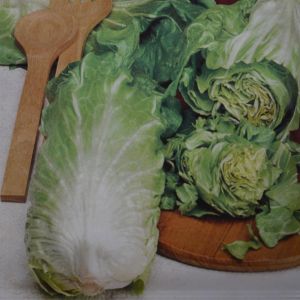 Chicory Pan di Zucchero Seed bag