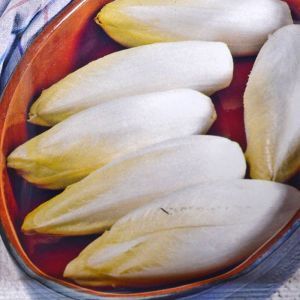 Chicory Witloof Medium-Early Seed bag