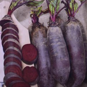 Beetroot Cylindra seed bag
