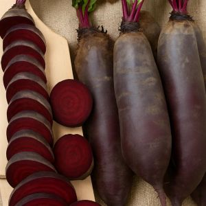 Beetroot Cylindra