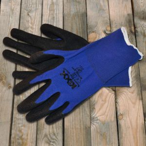 Beasty-Blue-900331.jpg