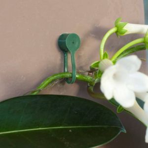 Wall Plant Clips green set of 15