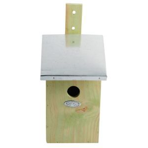 Mirror Bird Nesting Box
