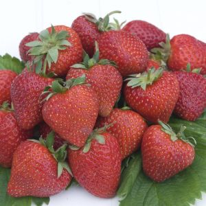 Als Cherry Berry
