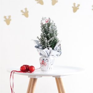Ellwoodii versierd Sneeuw 35 cm Silver Folie