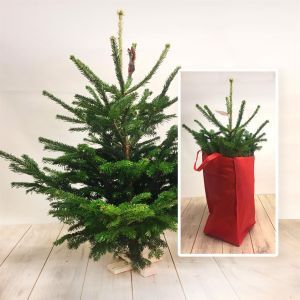 kerstboom in zak