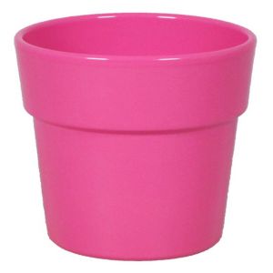 Orchidee Pot Cerise