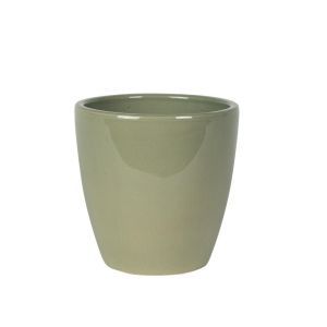 165867 Swen Glazed