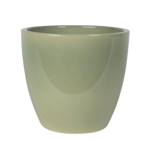 165869 Swen Glazed