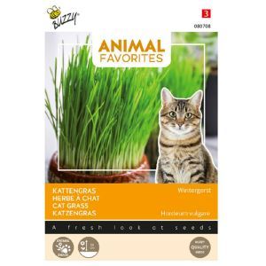 Cat grass 20 gr