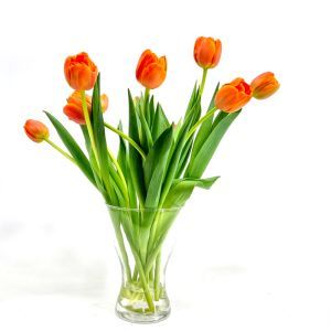 Tulip bouquet Prinses Irene