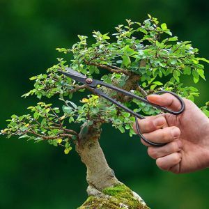 GT297 Bonsai takschaar smal