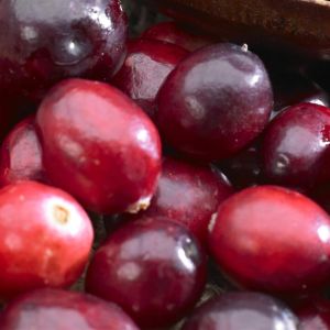 Vaccinium macrocarpon Cranberry 9 cm pot