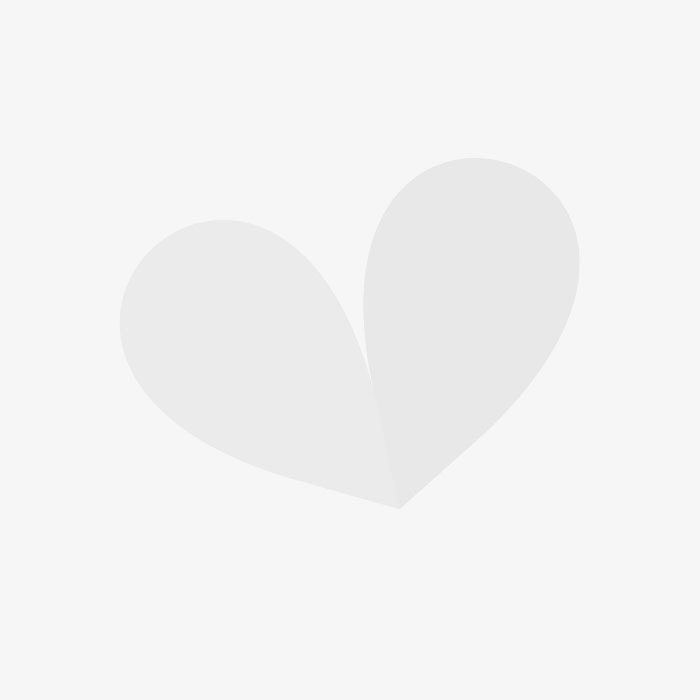 Gardens4you Online Plants Happy Gardening